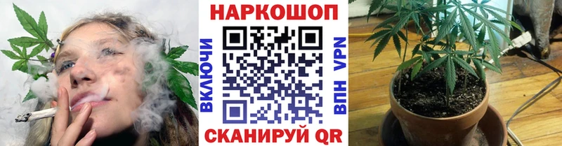 Виды наркотиков купить Ленинградская Гашиш Кокаин Меф мяу мяу Канабис