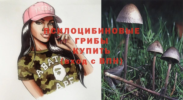 Альфа ПВП Кулебаки