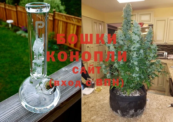 амф Кукмор