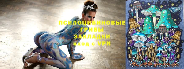 амф Кукмор