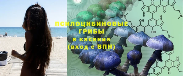 стаф Куйбышев