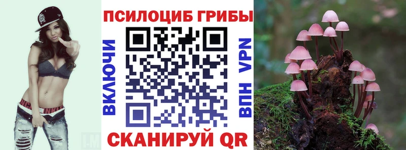 Псилоцибиновые грибы GOLDEN TEACHER  Ленинградская 